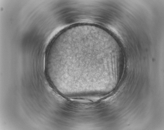 X0000088171323200706051107