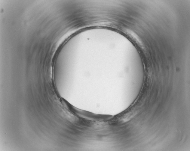 X0000088171324200706051107