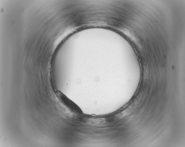 X0000088171325200706051107