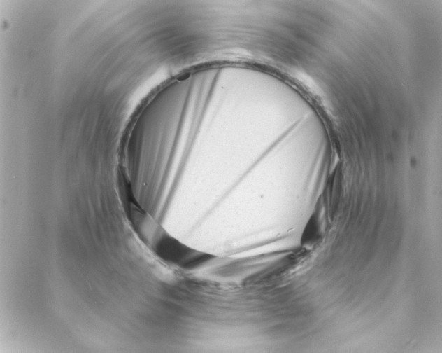 X0000088171326200706051107