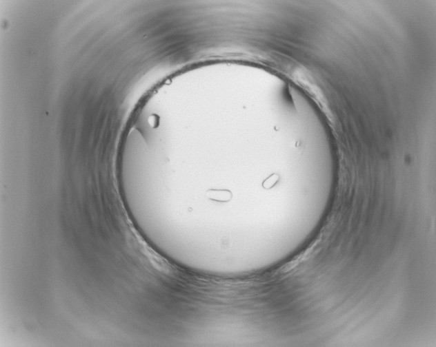 X0000088171328200706051107