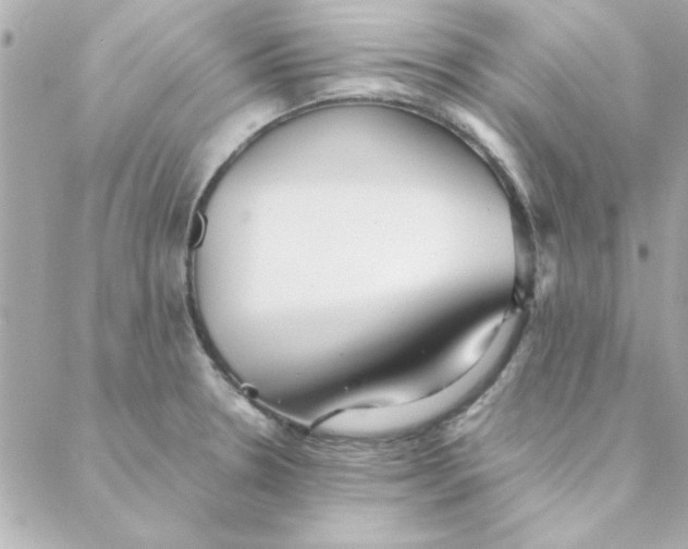 X0000088171330200706051107