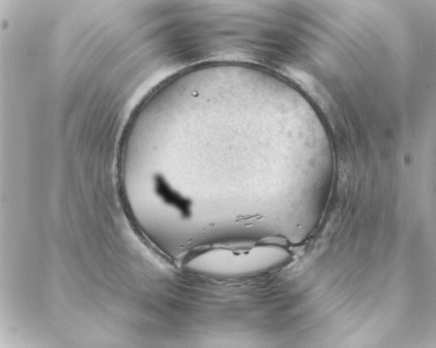 X0000088171331200706051107