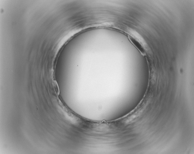 X0000088171332200706051107