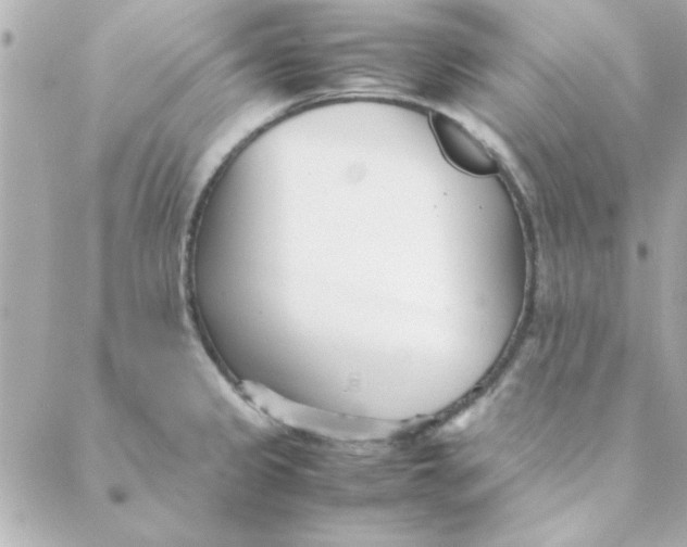 X0000088171333200706051107