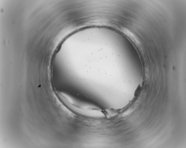 X0000088171334200706051107