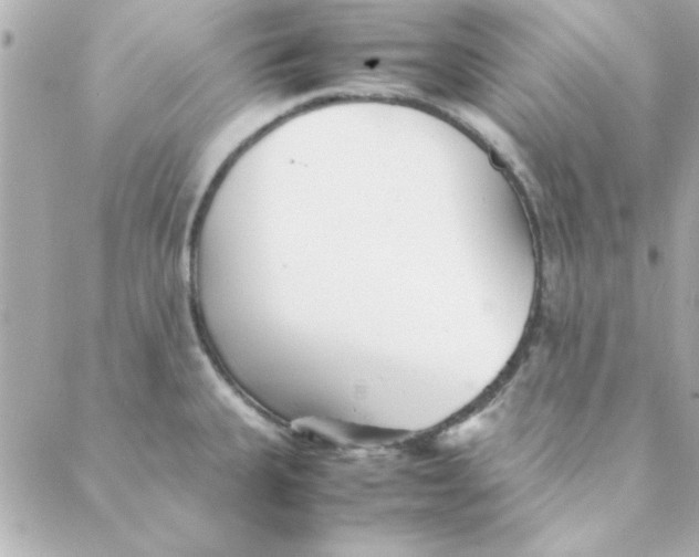 X0000088171335200706051107