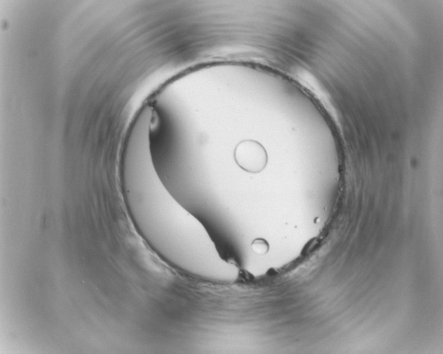 X0000088171336200706051107