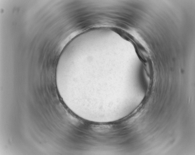 X0000088171337200706051107