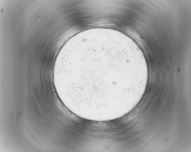 X0000088171338200706051107