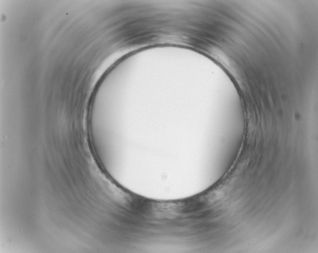 X0000088171339200706051107