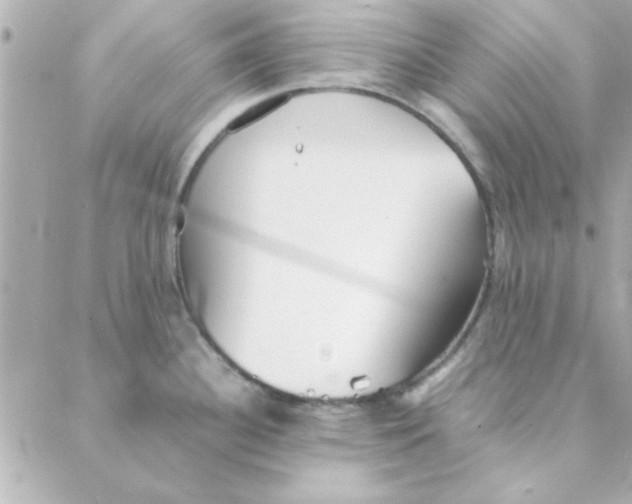 X0000088171340200706051107