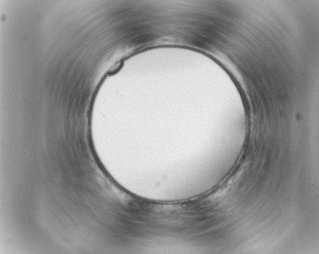 X0000088171341200706051107