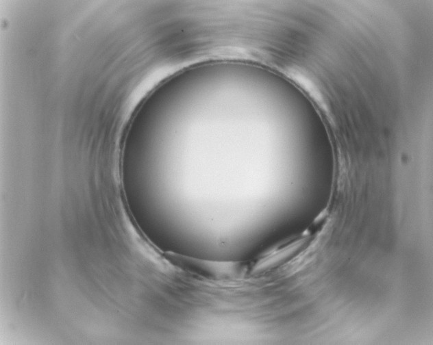 X0000088171342200706051107