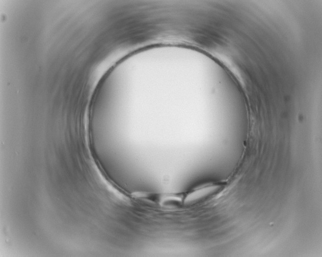 X0000088171343200706051107