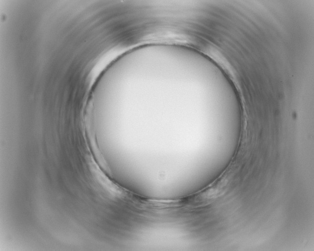 X0000088171344200706051107