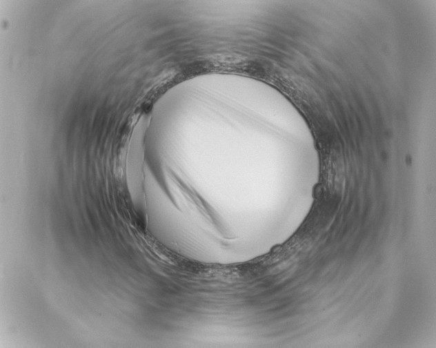 X0000088171346200706051106