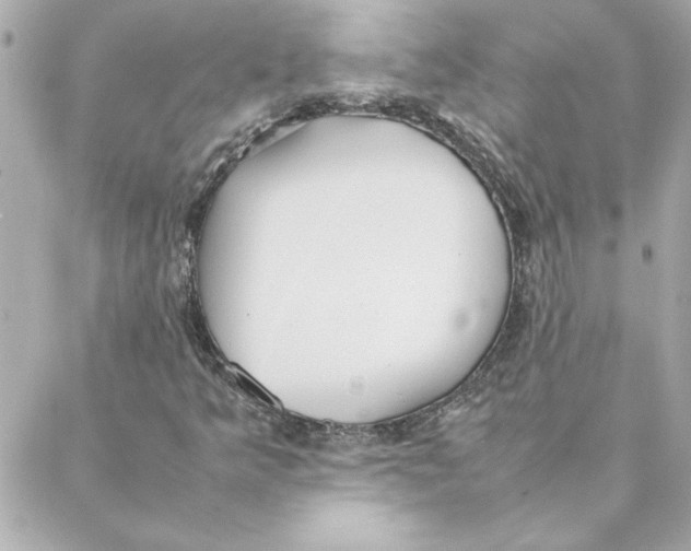 X0000088171349200706051106