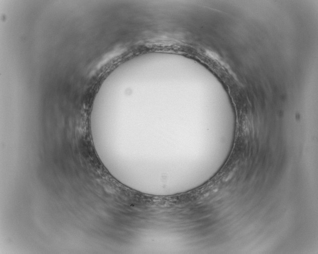 X0000088171350200706051106