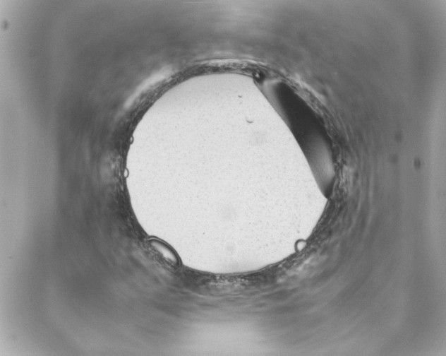 X0000088171351200706051106