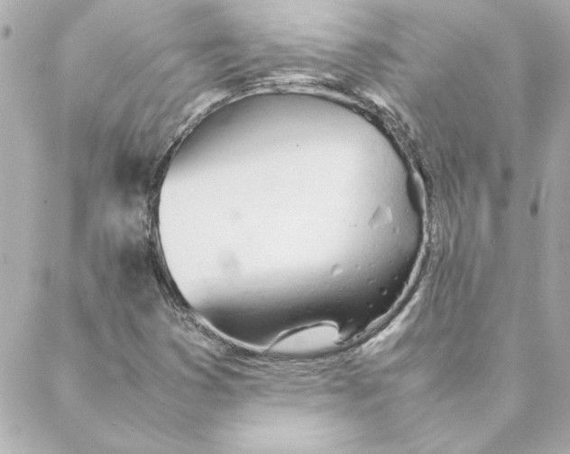 X0000088171353200706051106