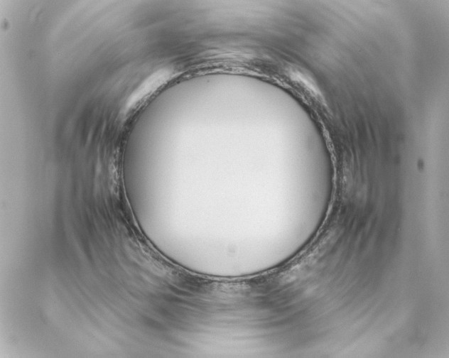 X0000088171354200706051106