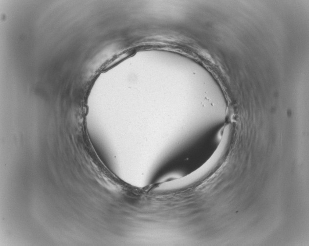 X0000088171355200706051106