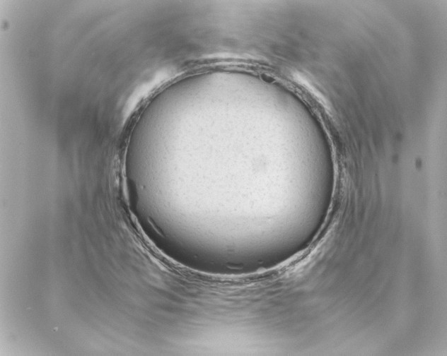 X0000088171357200706051106