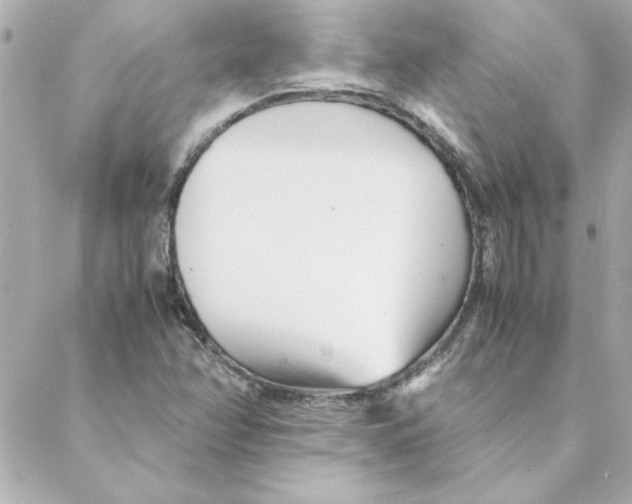 X0000088171358200706051106