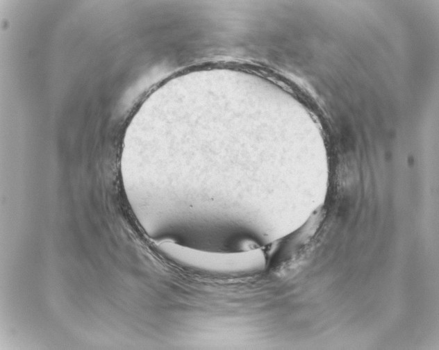 X0000088171359200706051106