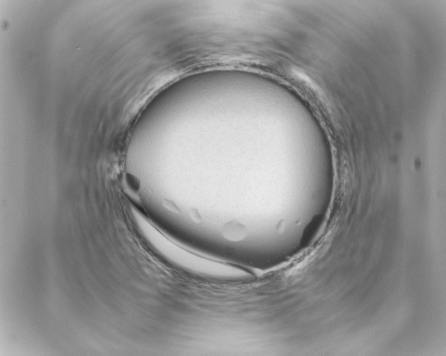 X0000088171361200706051106