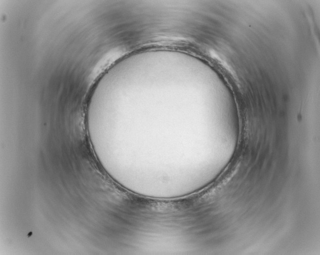 X0000088171362200706051106