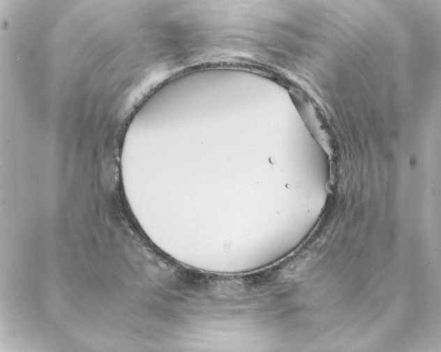 X0000088171363200706051106