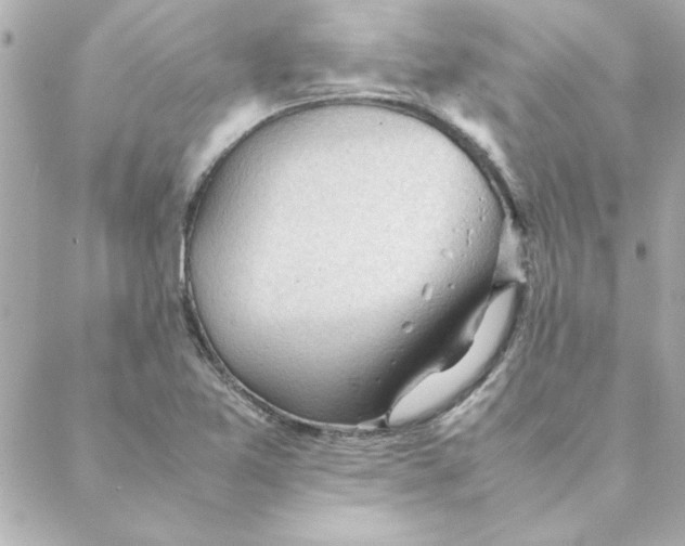 X0000088171365200706051106