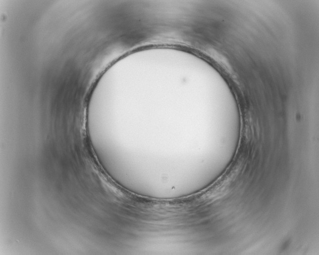 X0000088171366200706051106