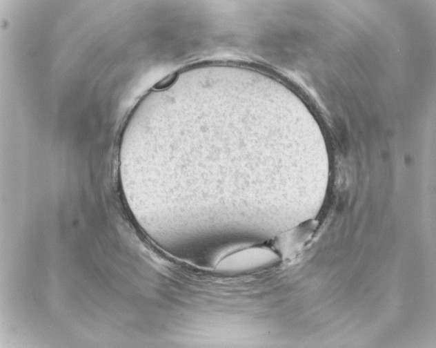 X0000088171367200706051106