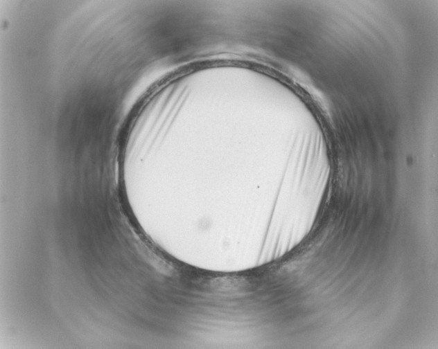 X0000088171368200706051106