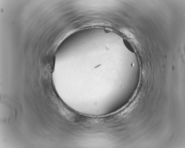 X0000088171369200706051106