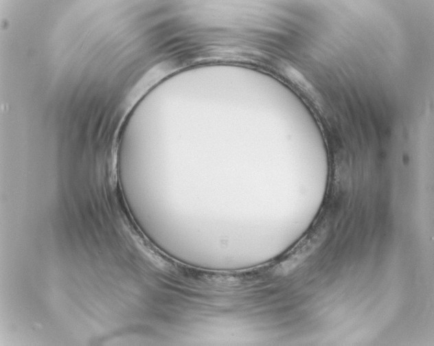 X0000088171370200706051106