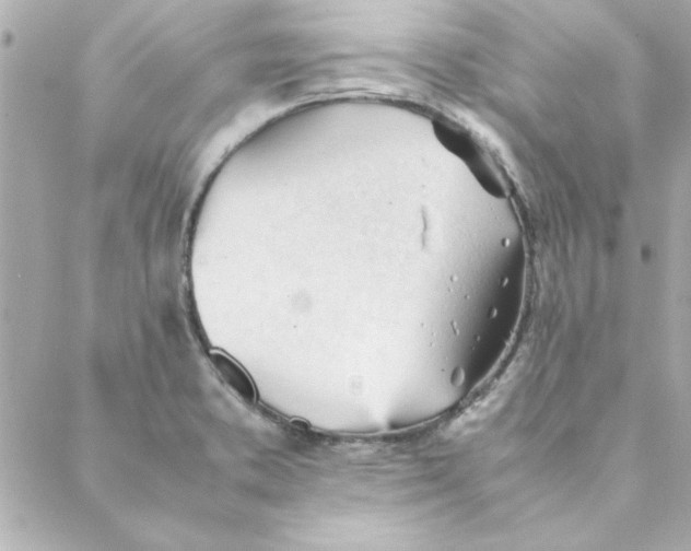 X0000088171373200706051106