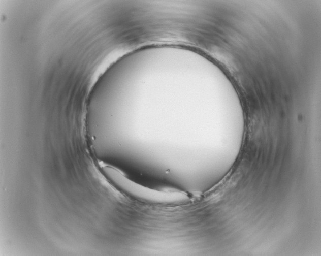 X0000088171374200706051106