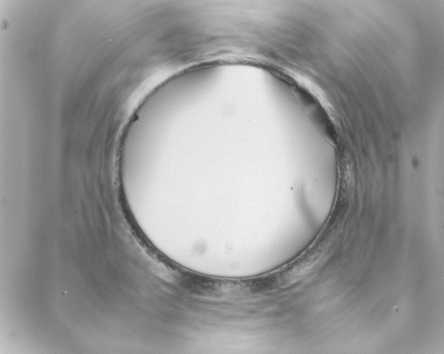 X0000088171375200706051106