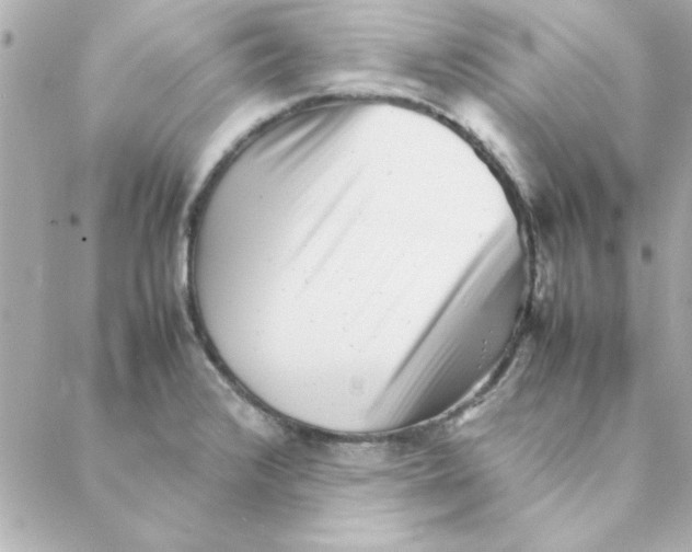 X0000088171376200706051106