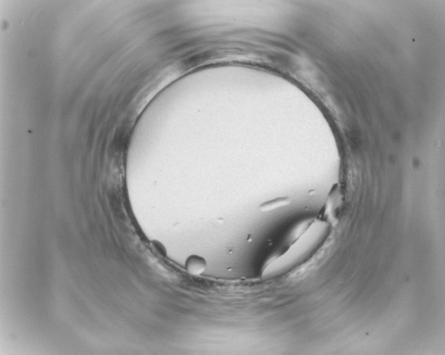 X0000088171377200706051106