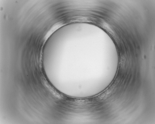 X0000088171378200706051106