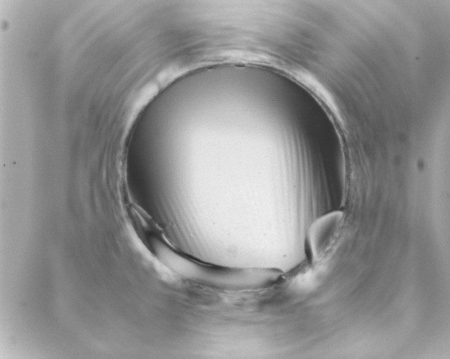 X0000088171381200706051105