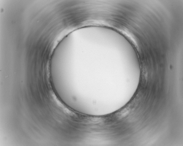 X0000088171382200706051105