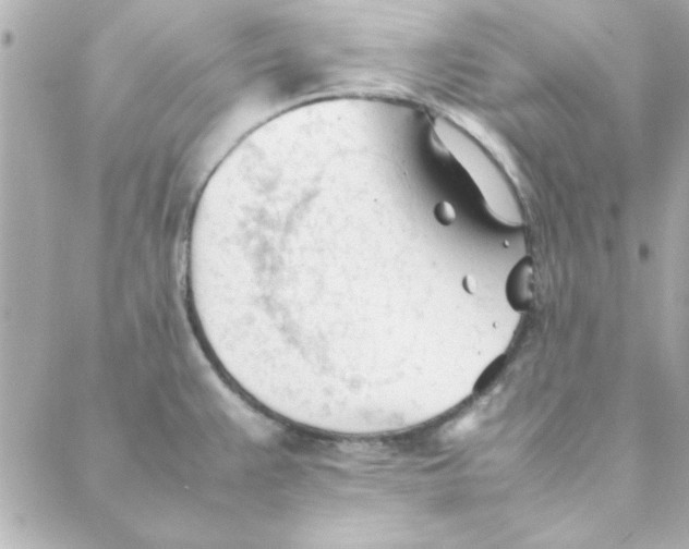 X0000088171383200706051105