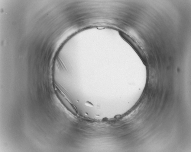 X0000088171384200706051105