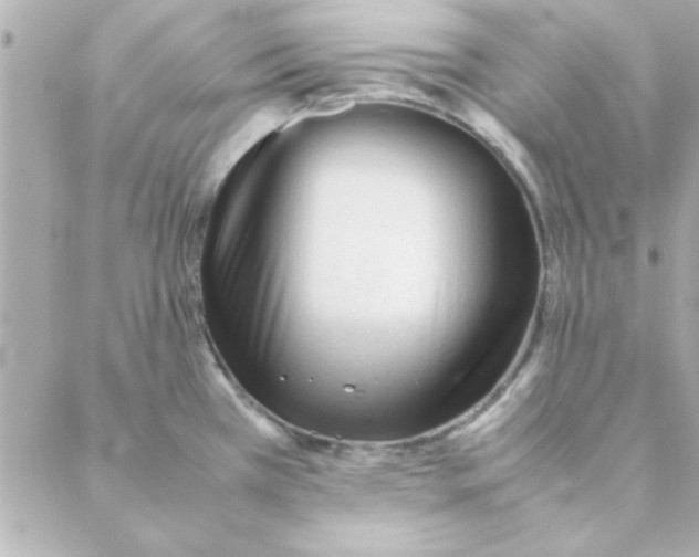 X0000088171385200706051105